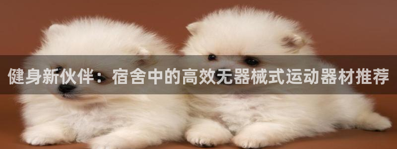 凯捷体育平台注册：健身新伙伴：宿舍中的高效无器械式运动器材推