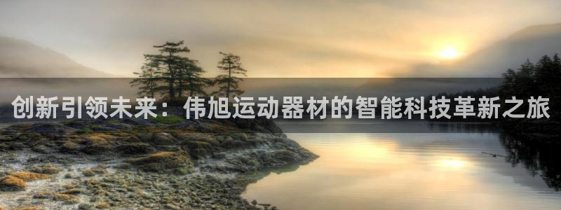 凯捷体育招商：创新引领未来：伟旭运动器材的智能科技革新之旅