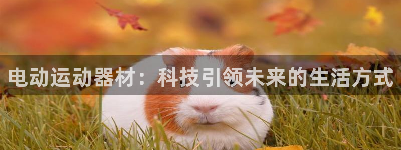 凯捷体育是干嘛的公司:电动运动器材:科技引领未来的生活方式