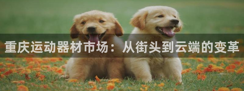 海南凯捷体育：重庆运动器材市场：从街头到云端的变革