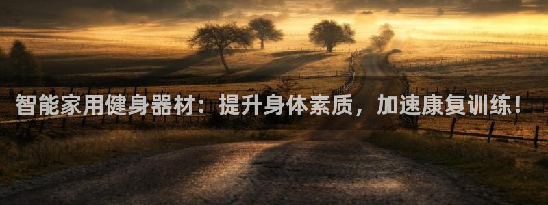 凯捷体育集团logo：智能家用健身器材：提升身体素质