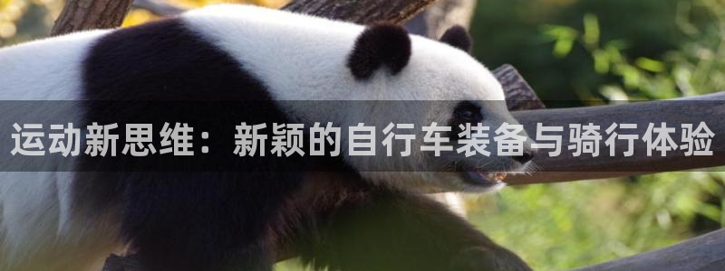 凯捷体育集团简介：运动新思维：新颖的自行车装备与骑行