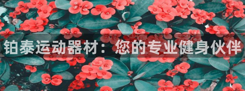 凯捷体育平台假的吗是真的吗：铂泰运动器材：您的专业健