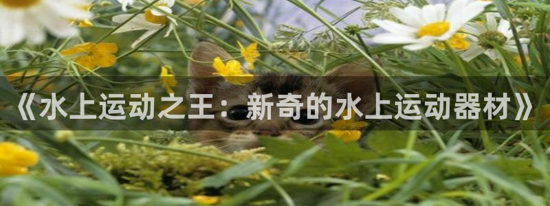 凯捷体育娱乐代理怎么样：《水上运动之王：新奇的水上运