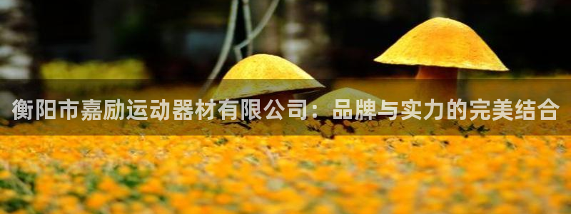 凯捷体育集团E.ON：衡阳市嘉励运动器材有限公司：品