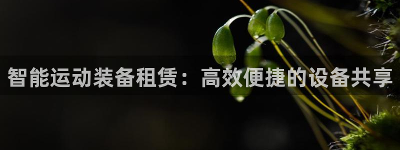 凯捷体育集团简介：智能运动装备租赁：高效便捷的设备共