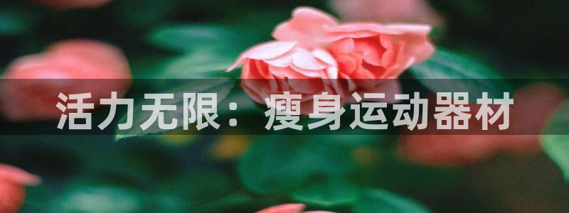 凯捷体育平台：活力无限：瘦身运动器材