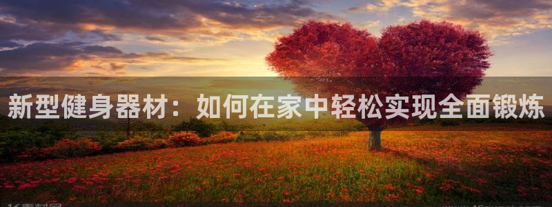 凯捷体育注册：新型健身器材：如何在家中轻松实现全面锻