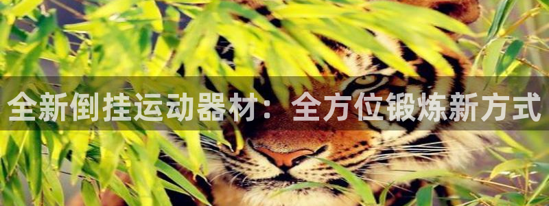 凯捷体育集团简介：全新倒挂运动器材：全方位锻炼新方式