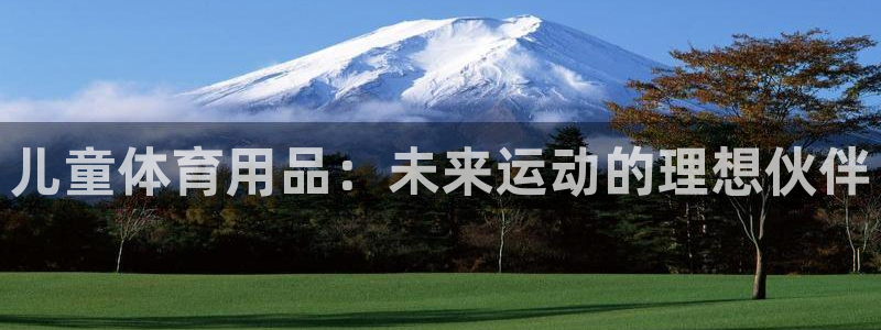 凯捷体育娱乐网站：儿童体育用品：未来运动的理想伙伴