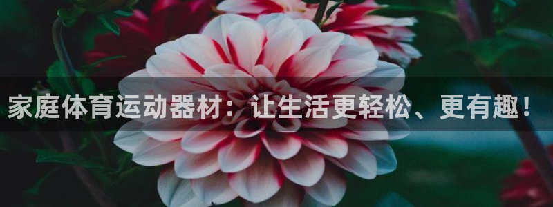 凯捷体育集团简介：家庭体育运动器材：让生活更轻松、更