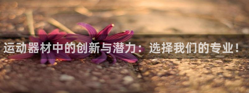 德国凯捷体育集团：运动器材中的创新与潜力：选择我们的