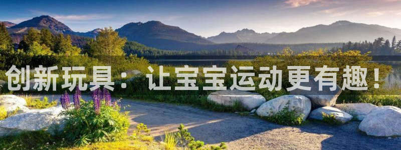 凯捷体育注册：创新玩具：让宝宝运动更有趣！