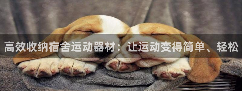 凯捷体育集团官网网址：高效收纳宿舍运动器材：让运动变