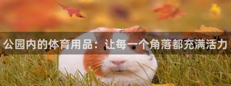 凯捷体育招商电话号码：公园内的体育用品：让每一个角落