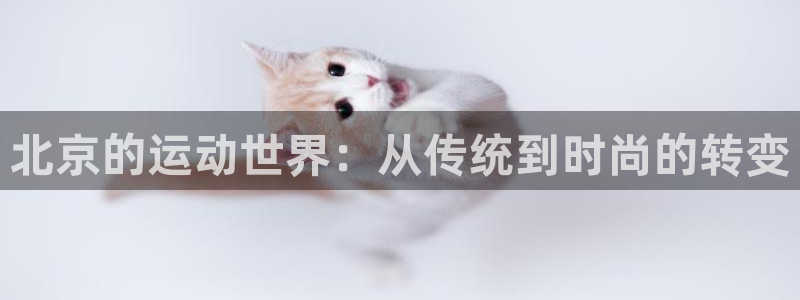 凯捷体育集团E.ON：北京的运动世界：从传统到时尚的