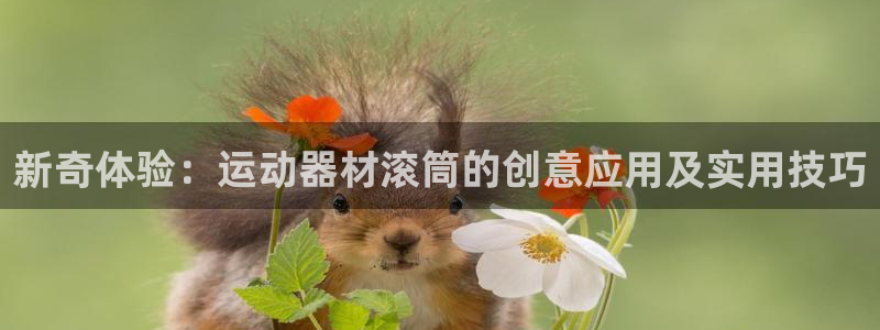 凯捷体育集团：新奇体验：运动器材滚筒的创意应用及实用