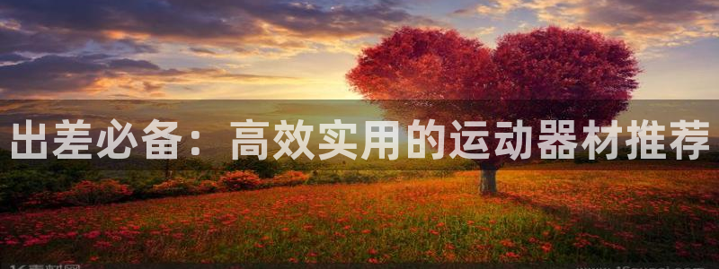 凯捷体育是干嘛的公司：出差必备：高效实用的运动器材推