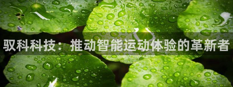 凯捷体育招商电话地址：驭科科技：推动智能运动体验的革新者