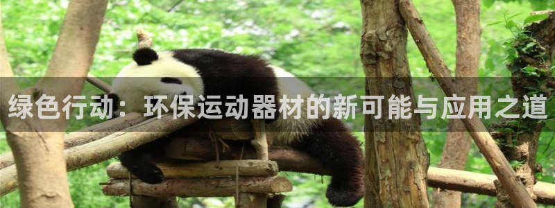 凯捷体育软件