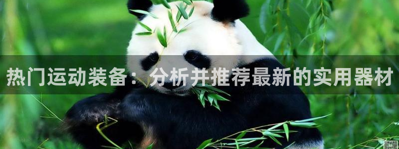 凯捷体育招商电话是多少