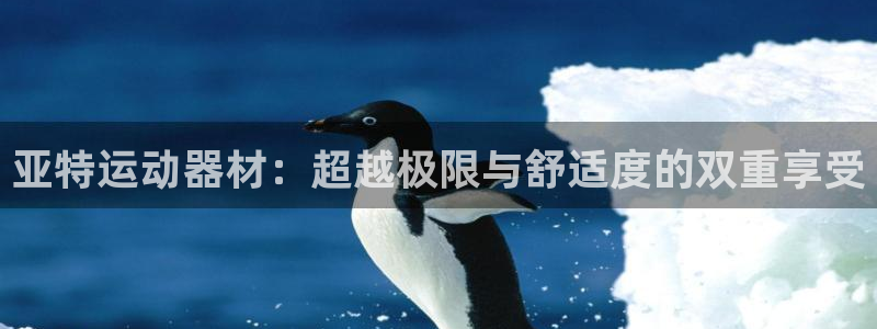 凯捷体育新能源:亚特运动器材:超越极限与舒适度的双重享受