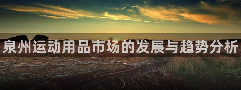 凯捷体育娱乐40996:泉州运动用品市场的发展与趋势分析
