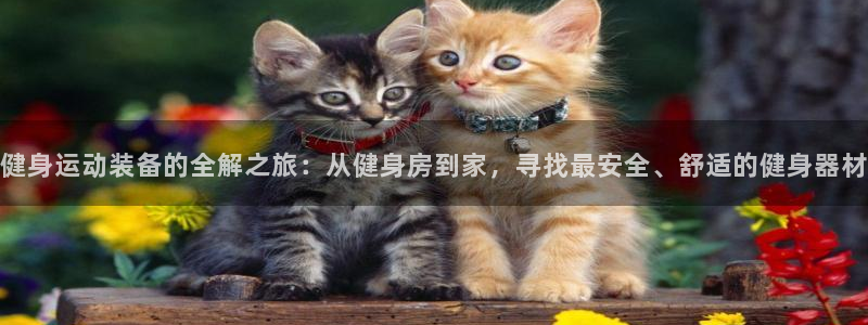 凯捷体育开户:健身运动装备的全解之旅:从健身房到家,寻找最安