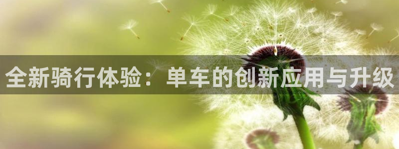 凯捷体育娱乐网站