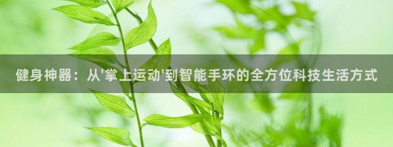 凯捷体育集团E.ON