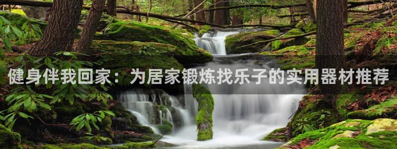 凯捷体育集团简介:健身伴我回家:为居家锻炼找乐子的实用器材推