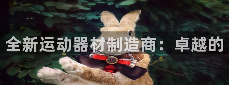 凯捷体育平台APP:全新运动器材制造商:卓越的