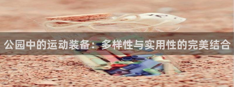 海南凯捷体育发展怎么样：公园中的运动装备：多样性与实用性的完