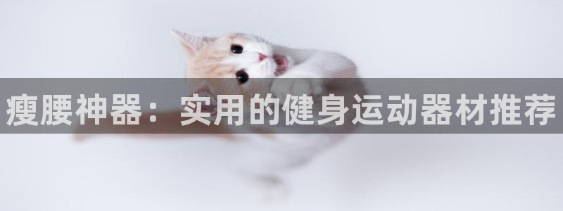 意昂集团官网：瘦腰神器：实用的健身运动器材推荐